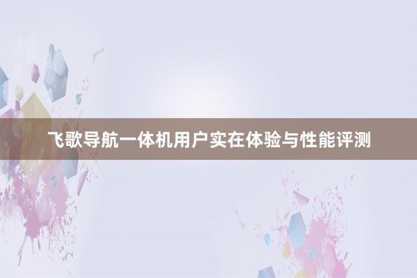 飞歌导航一体机用户实在体验与性能评测